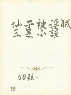 仙子被淫贼玩弄玉足小说