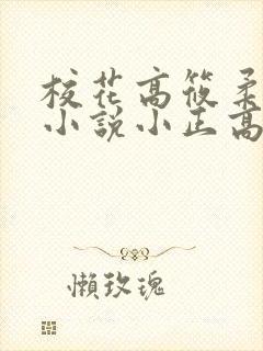 校花高筱柔系列小说小正高达