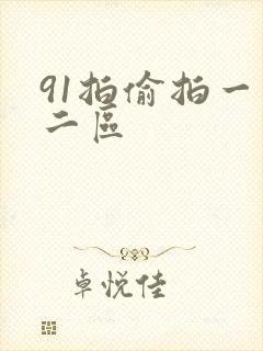 91拍偷拍一区二区