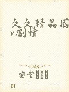 久久精品国产av剧情