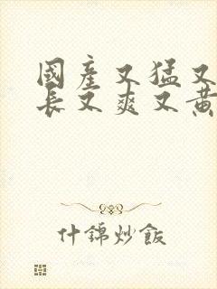 国产又猛又粗又长又爽又黄的视频