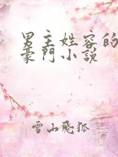 男主姓容的现代豪门小说