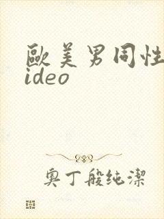 欧美男同性恋video