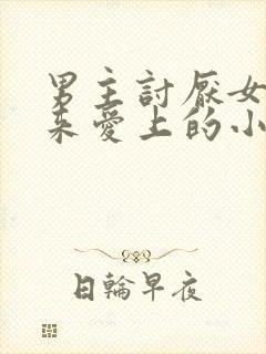 男主讨厌女主后来爱上的小说