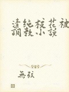 清纯校花被地狱调教小说