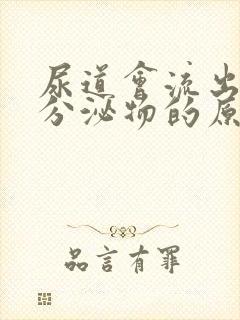 尿道会流出白色分泌物的原因