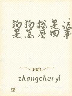 狗狗总是流口水是怎么回事