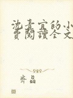 沈青宜的小说免费阅读全文