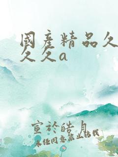 国产精品久久久久久a