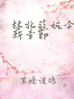 林北苏婉今天最新章节