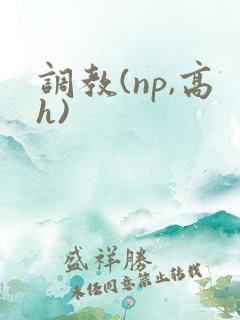 调教(np,高h)