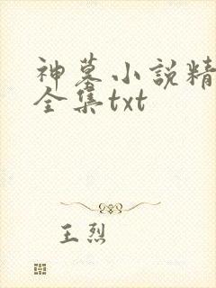 神墓小说精校版全集txt