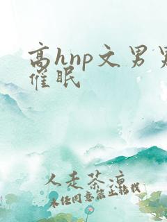 高hnp文男男催眠
