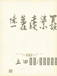 亿万老婆买一送一在线小说