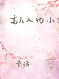 高h入肉小说