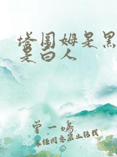 塔图姆是黑人还是白人