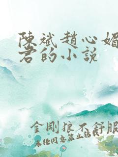 陈斌赵心媚高婉君的小说