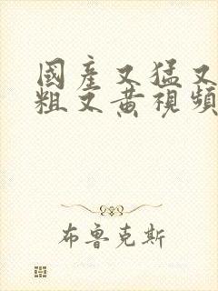 国产又猛又爽又粗又黄视频