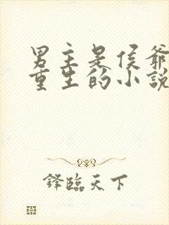 男主是侯爷女主重生的小说