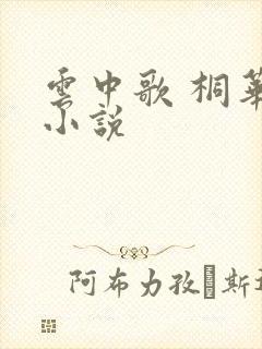 云中歌 桐华 小说