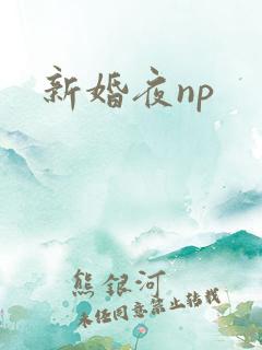 新婚夜np