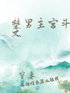 双男主宫斗宅斗文