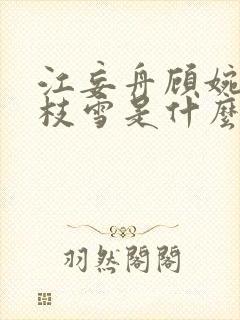 江妄舟顾婉禾宋枝雪是什么小说