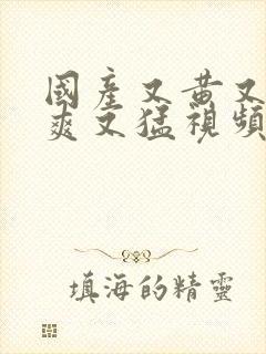 国产又黄又粗又爽又猛视频