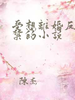 受想离婚反被囚禁的小说