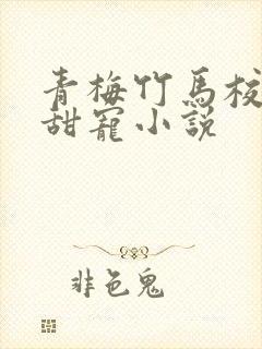 青梅竹马校霸的甜宠小说