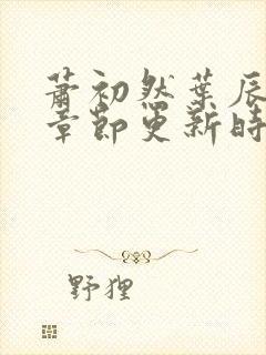 萧初然叶辰最新章节更新时间