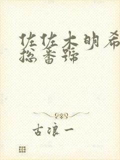 佐佐木明希 汇总番号