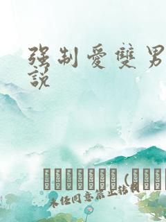 强制爱双男主小说