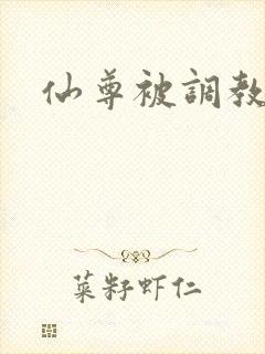仙尊被调教