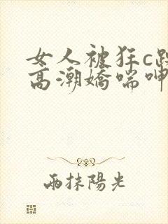 女人被狂c躁到高潮娇喘呻吟