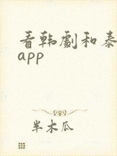 看韩剧和泰剧的app