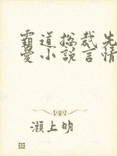 霸道总裁先婚后爱小说言情现代