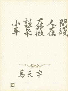 小说在人间陆叁平采薇在线阅读