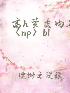 高h荤爽肉欲文〈np〉bl