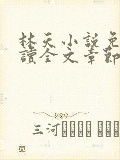 林天小说免费阅读全文章节