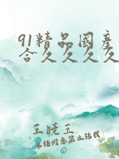 91精品国产综合久久久久久导航