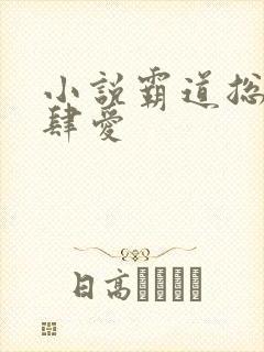 小说霸道总裁放肆爱