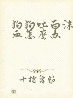 狗狗吐白沫又拉血怎么办