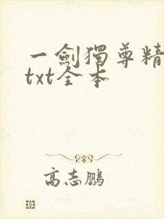 一剑独尊精校版txt全本