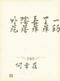 外阴长了一个硬疙瘩痒痒的怎么回事