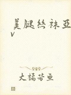 美腿丝袜亚洲av