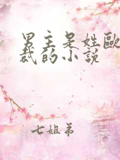 男主是姓欧的总裁的小说