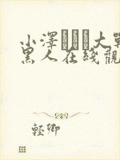 小泽マリア大战黑人在线观看