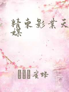 精东影业天美传媒