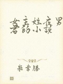 女主姓夜男主姓君的小说